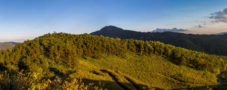 View of mountain peaks, coniferous tropical forest and green meadow in summer landscape. Sunset in Thailand. Panoramaの写真素材