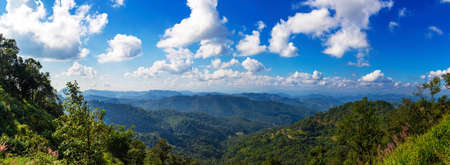 View of mountain peaks, coniferous tropical forest and green meadow in summer landscape. Sunset in Thailand. Panoramaの写真素材