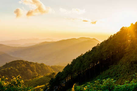 View of mountain peaks, coniferous tropical forest and green meadow in summer landscape. Sunset in Thailandの写真素材