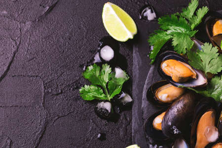Raw seafood - fresh uncooked mussels on ice with cilantro and coriander on black iron plate over dark slate stone background. Healthy food concept. Top view.の写真素材