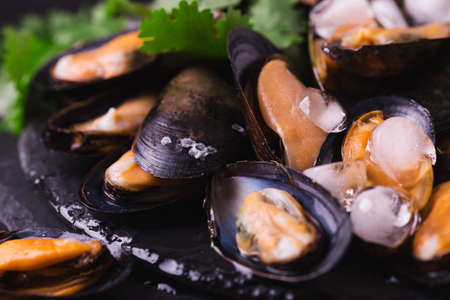 Raw seafood - fresh uncooked mussels on ice with cilantro and coriander on black iron plate over dark slate stone background. Healthy food concept. Top view.の写真素材