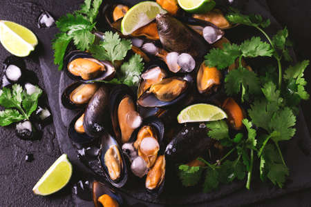 Raw seafood - fresh uncooked mussels on ice with cilantro and coriander on black iron plate over...