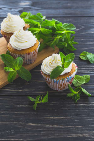 Homemade tiramisu cupcakes with leafs of mint and whipped cream on dark rustic wooden background.の写真素材