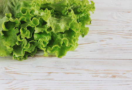 Green salad on white rustic wooden backgroundの写真素材