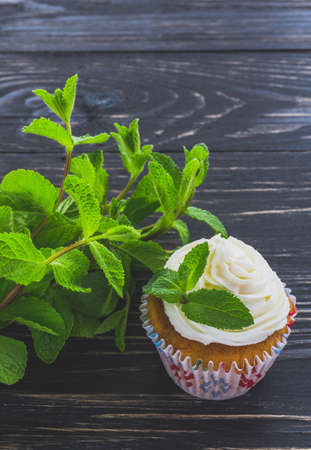 Homemade tiramisu cupcakes with leafs of mint and whipped cream on dark rustic wooden background.の写真素材