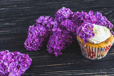 Homemade tiramisu cupcakes with whipped cream and bouquet of purple lilac spring flowers on rustic wooden backgroundの写真素材