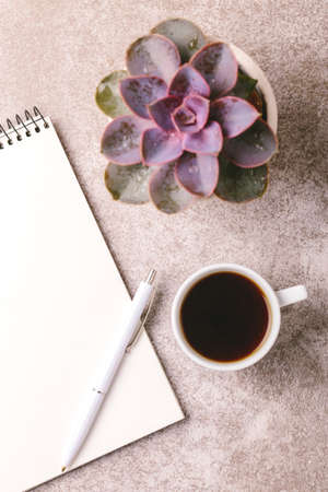 Empty notebook, pen, succulent plant and coffee on gray stone background. Workplace. Top view