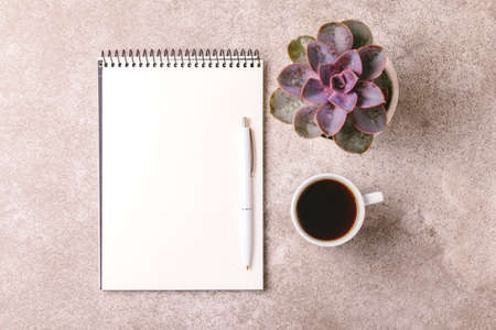 Empty notebook, pen, succulent plant and coffee on gray stone background. Workplace. Top viewの写真素材