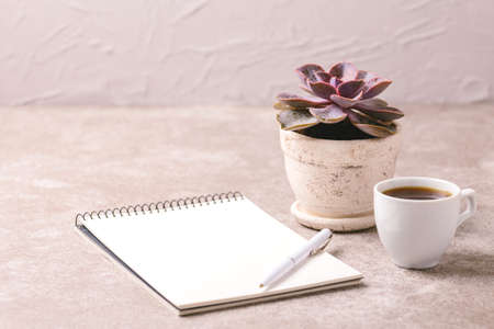 Empty notebook, pen, succulent plant and coffee on gray stone background. Workplace. Horizontal viewの写真素材
