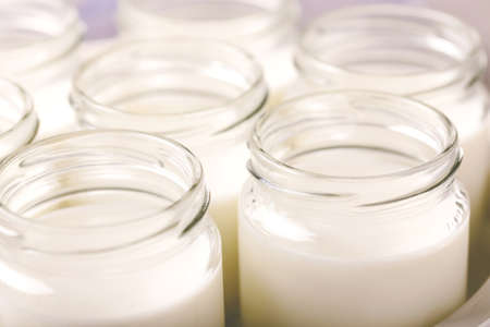 Homemade greek yogurt in glass jars and yogurt maker on gray stone background. Healthy food conceptの写真素材