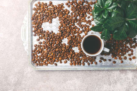 Sprout of coffee plant tree, espresso cup in a pot with roasted coffee beans scattered around. Gray stone background. Top viewの写真素材
