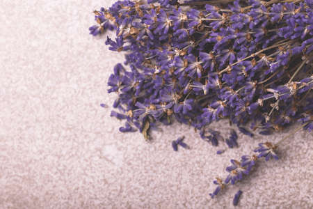 Dry lavender flowers on gray stone background. Top viewの写真素材