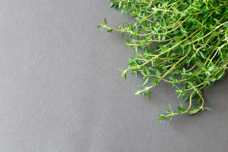 Bunch of fresh organic thyme on a rustic backgroundの写真素材