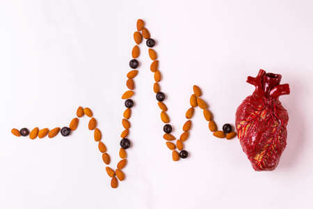 Healthy food, heart model and almond cardiograph on white board. Medical abstract conceptの写真素材