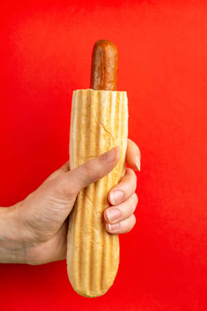 Grilled french hot dog in woman's hand on bright background. Junk or fast food. Copy space