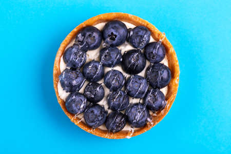 Delicious blueberry tartlet with vanilla cream on bright blue background. Copy spaceの写真素材