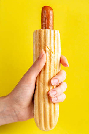Grilled french hot dog in woman's hand on bright background. Junk or fast food. Copy spaceの写真素材