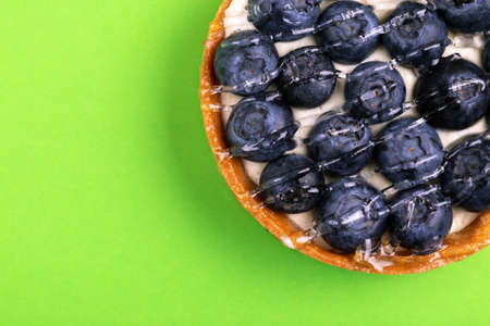 Delicious blueberry tartlet with vanilla cream on bright green background. Copy space. Top view