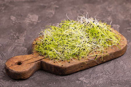 Fresh microgreen leek on vintage cutting board on gray concrete background. Vegetable green for...