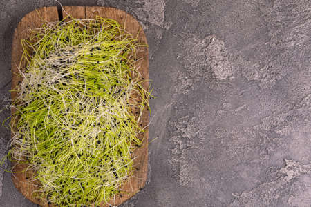 Fresh microgreen leek on vintage cutting board on gray concrete background. Vegetable green for...