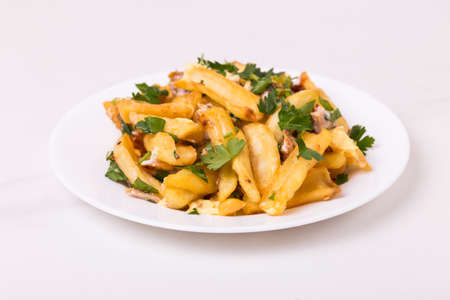 Canadian poutine french fries with brown gravy sauce, chicken and fresh cheese curds.の写真素材