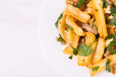 Canadian poutine french fries with brown gravy sauce, chicken and fresh cheese curds.の写真素材