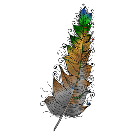Multi-colored feather with a graceful ornament isolated on a white background Multi-colored feather with a graceful ornament isolated on a white background