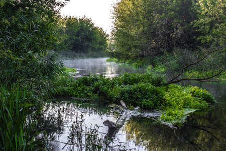 The river Tikhaya Sosna in the Bush, Voronezh oblast,Russiaの写真素材