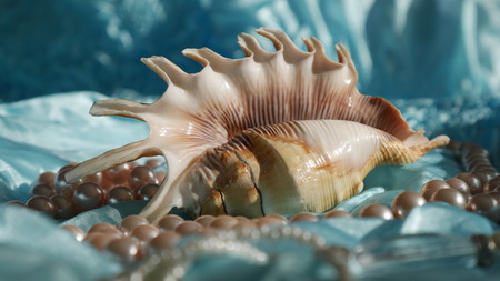 Seashell with beads.の写真素材