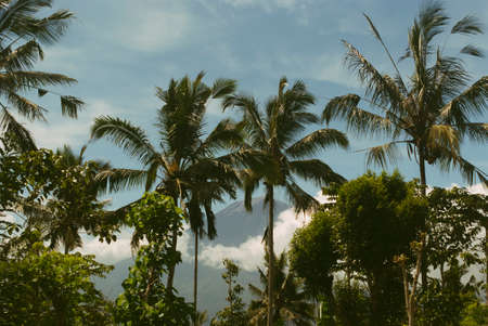 Beautiful jungle landscape with volcano Agung view through the palmsの写真素材