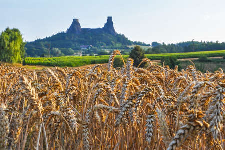 Ruin of Trosky Castle - Bohemian Paradise Czech Republicのeditorial素材