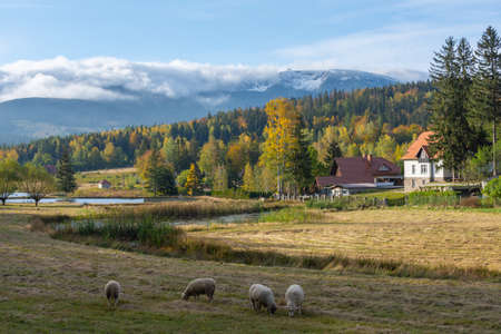 Karkonoski National Park, Poland, Michalowice, Karkonosze, Krkonose, Snezne Kotlyの写真素材