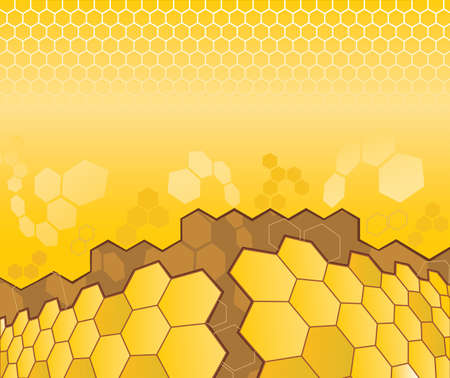 Abstract pattern from cell for design のイラスト素材