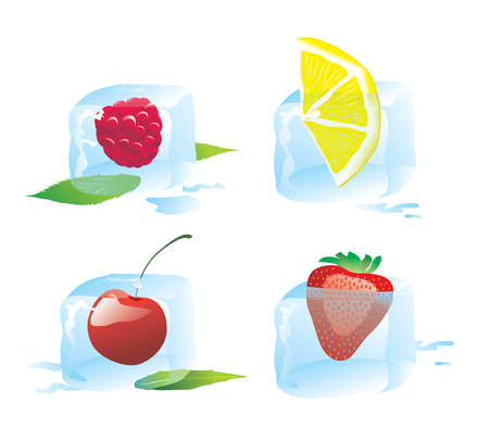 a set of ice cube with berryのイラスト素材