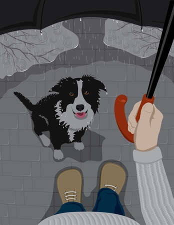 man and dog are hiding from the rainの写真素材