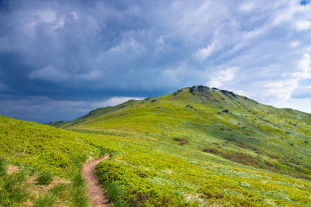 Spring in the Mountainsの写真素材