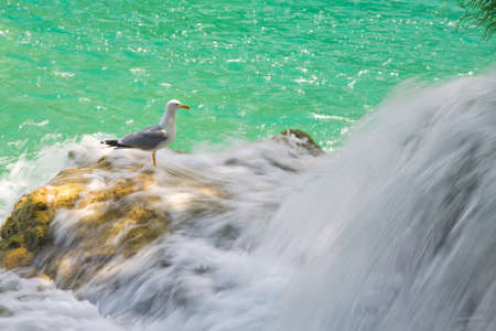 Waterfall Krka, National Park, Croatiaの写真素材