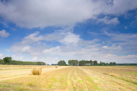 Polish country landscape, summerの写真素材
