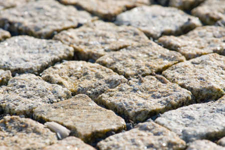 Paving stones texture の写真素材