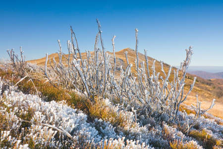 Bieszczady National Park, Polandの写真素材