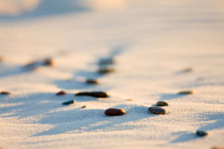 Dune on Beach at Sunset の写真素材
