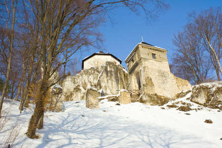 Medieval castle in Ojcow National Park のeditorial素材