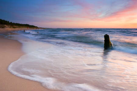 sunset on the beach の写真素材