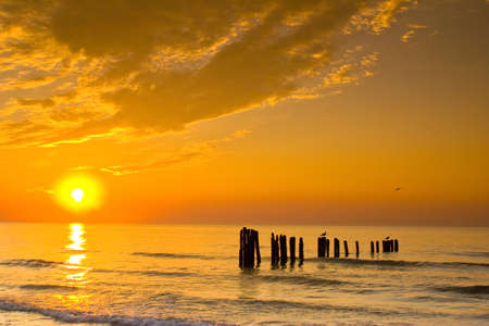 sunset on the beach の写真素材