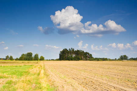 Polish countryside landscape 
