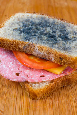 moldy sandwich with salami, tomatoes on a chopping boardの写真素材