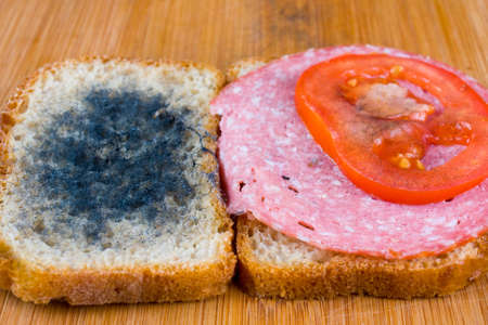moldy sandwich with salami, tomatoes on a chopping boardの写真素材
