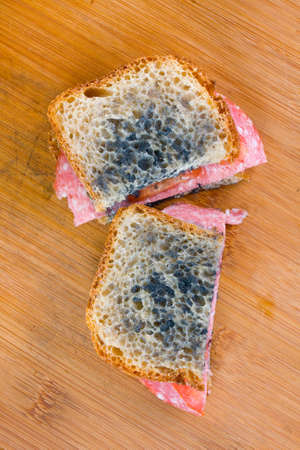 moldy sandwich with salami, tomatoes on a chopping boardの写真素材