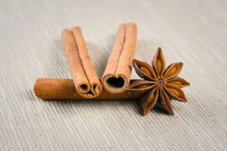 cinnamon, cloves and aniseの写真素材