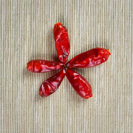 Red chilli peppers の写真素材